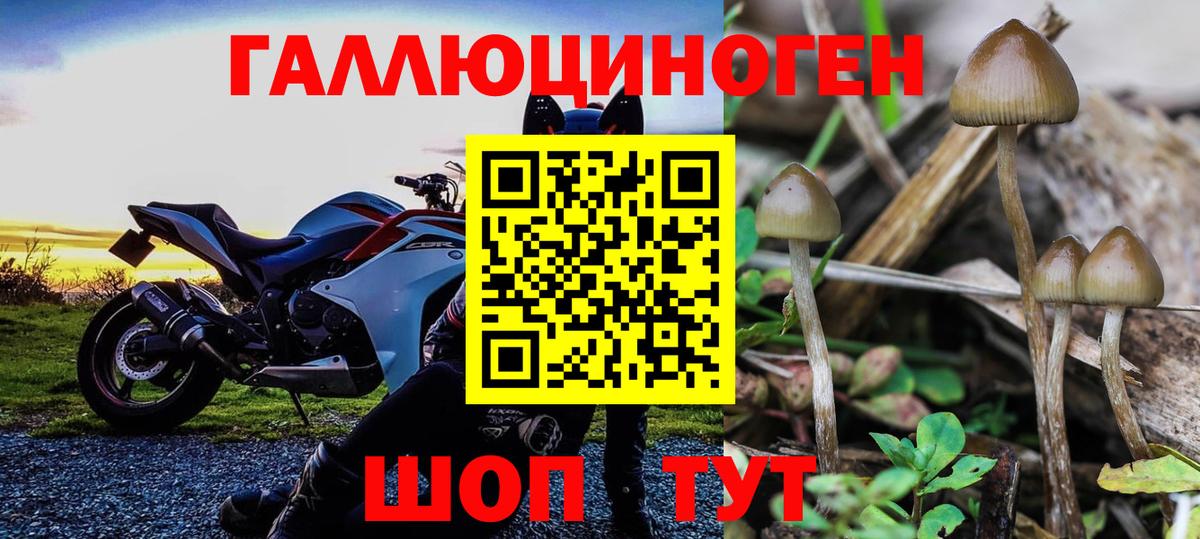Галлюциногенные грибы ЛСД  Галлюциногенные грибы Psilocybine cubensis  Вход с VPN  Губкин 