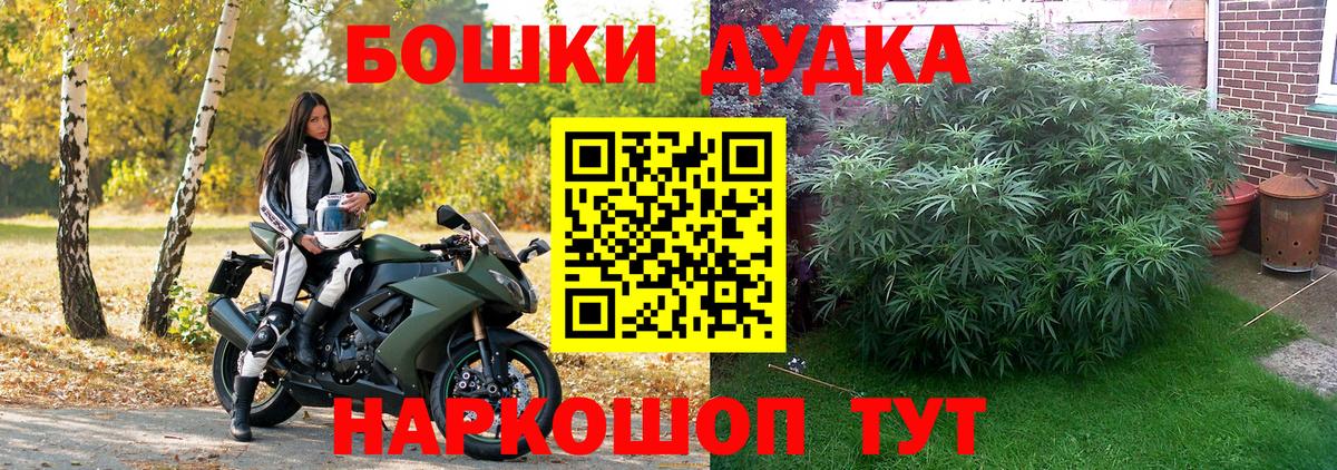 Губкин  Бошки марихуана OG Kush  Канабис MAZAR  Вход с VPN  Каннабис MAZAR 